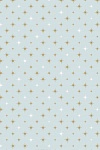 Бумага упаковочная Stewo KR Corona, звезды, 0.7 x 1.5 м